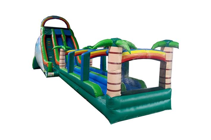 Tropical Forest slide FWS100