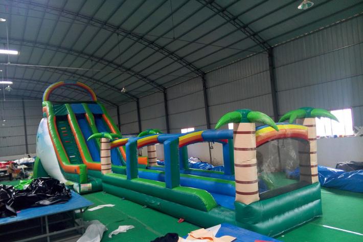 Tropical Forest slide FWS100