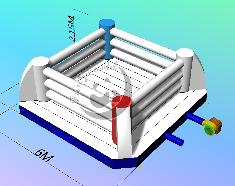Inflatable Boxing Ring FWND20