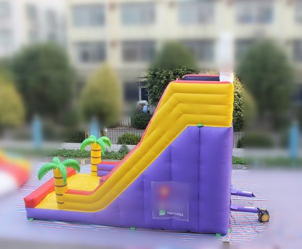 Inflatable dry slide FWD195