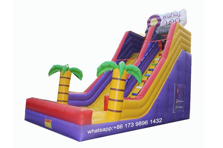 Inflatable dry slide FWD195