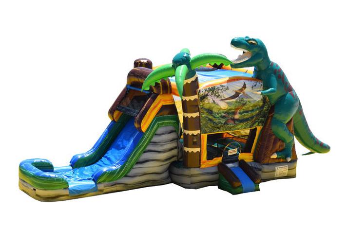 Dry Dinosaur Bounce House Combo FWZ210