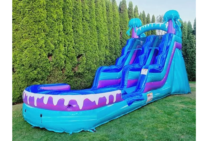PVC Inflatable Water Slide FWS377