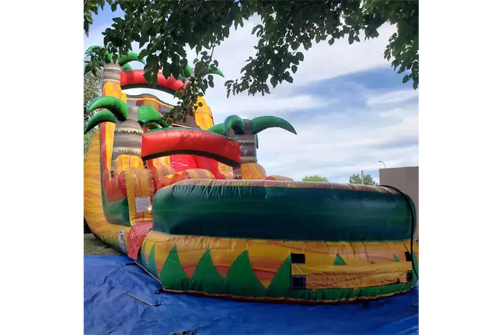 Palm tree inflatable water slide FWS359