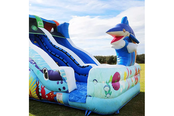 Inflatable colorful dry slide FWD268