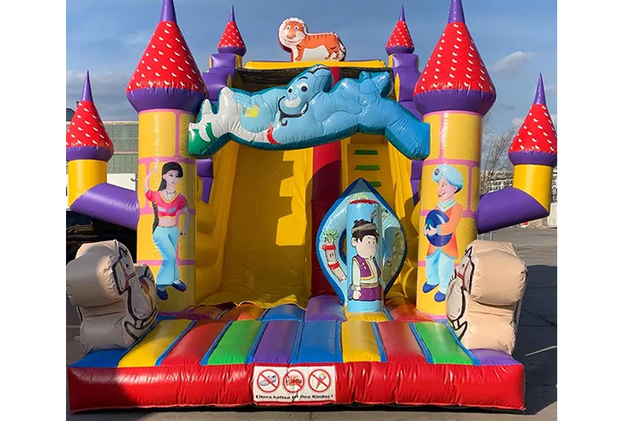 Hot inflatable Aladin dry slide FWD265
