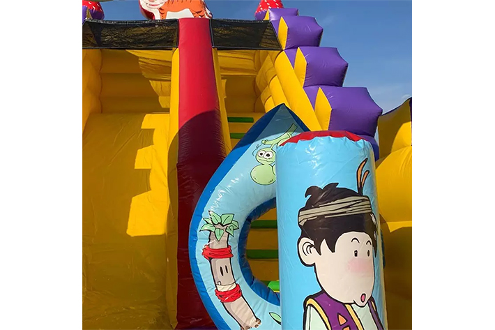 Hot inflatable Aladin dry slide FWD265