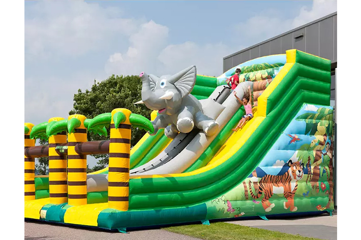 Popular factory wholesale inflatable jungle dry slide FWD223