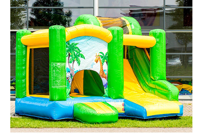 Happy Ocean Bouncy Castle Slide FWZ259