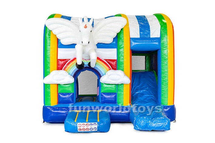 Attractive bounce house slide combo FWZ254