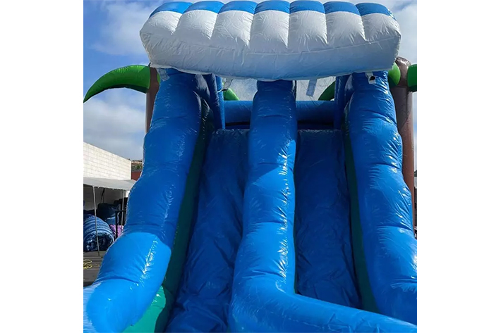 Giant PVC blue crush dual lane water slide FWZ274