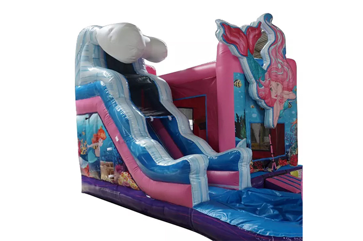 Outdoor bounce combo house water slide FWZ295