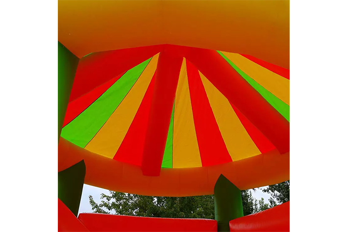 Circus inflatable bouncers with slide FWZ291