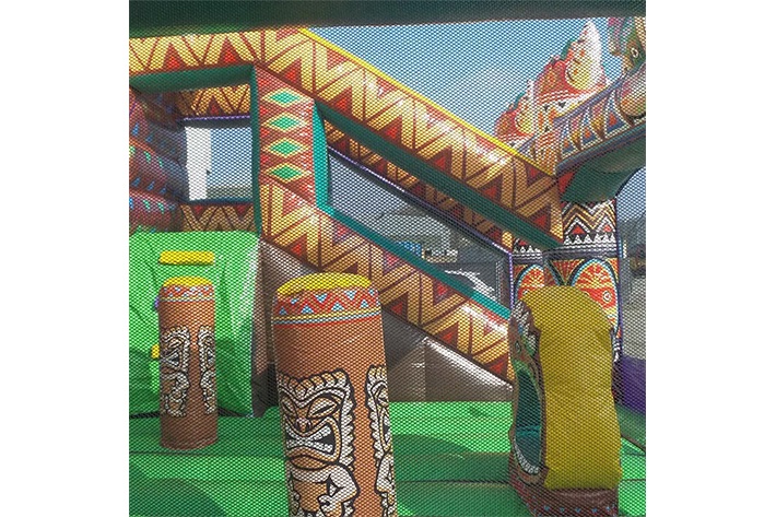 Inflatable bouncers with slide jumper castles FWZ290