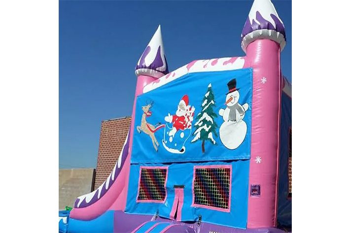 Outdoor bounce house with water slide FWZ286