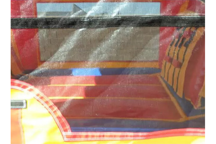 inflatable bounce and slide combo FWZ309