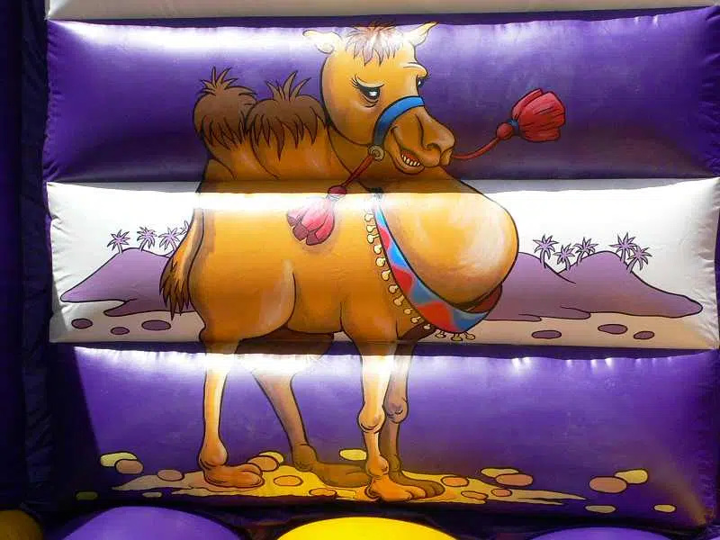 Inflatable Pastel Bounce House FWC285