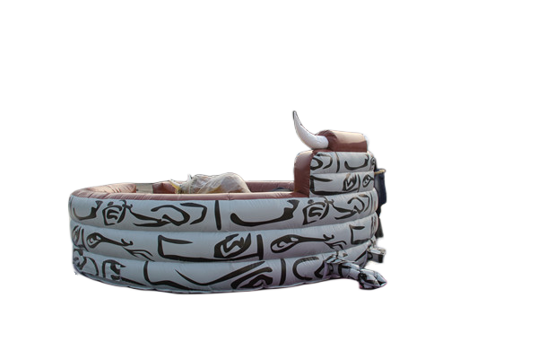 Duck Bumper Boat FWWG41