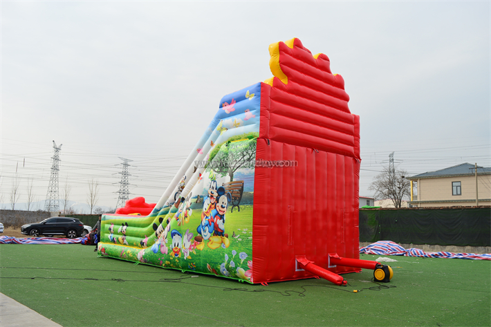 Mickey Mouse Dry slide FWD275