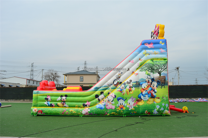 Mickey Mouse Dry slide FWD275