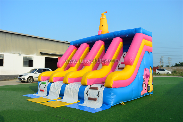 Inflatable Cromissi Water Slide FWS412
