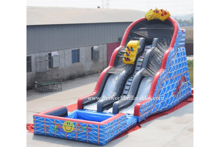 Giant Dual Lane Wild One Roller Coaster Slide FWS432