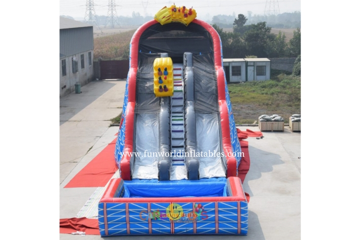 Giant Dual Lane Wild One Roller Coaster Slide FWS432