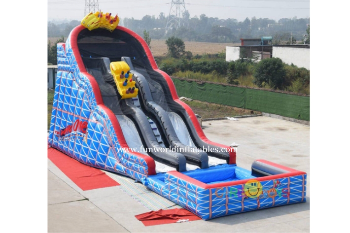Giant Dual Lane Wild One Roller Coaster Slide FWS432