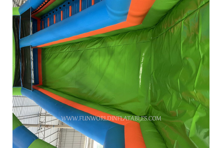 Inflatable Animal Bounce with Slide FWS421