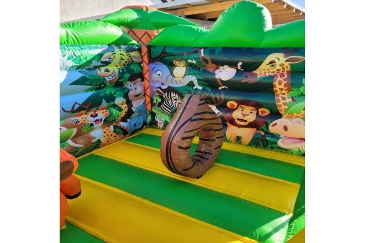 Safari Animal Theme Inflatable Castle FWC413